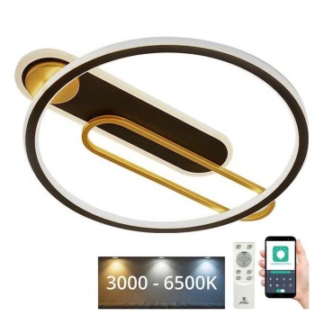 LED Plafon ściemnialny LED/60W/230V 3000-6500K czarny + pilot zdalnego sterowania