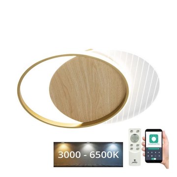 LED Plafon ściemnialny LED/60W/230V 3000-6500K + pilot zdalnego sterowania