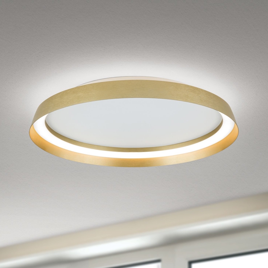 LED Plafon ściemnialny MANTA LED/38W/230V 2700/3000/4000K śr. 45 cm złoty