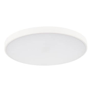 LED Plafon ściemnialny PLAFON LED/20W/230V 3000-6500K Wi-Fi biały