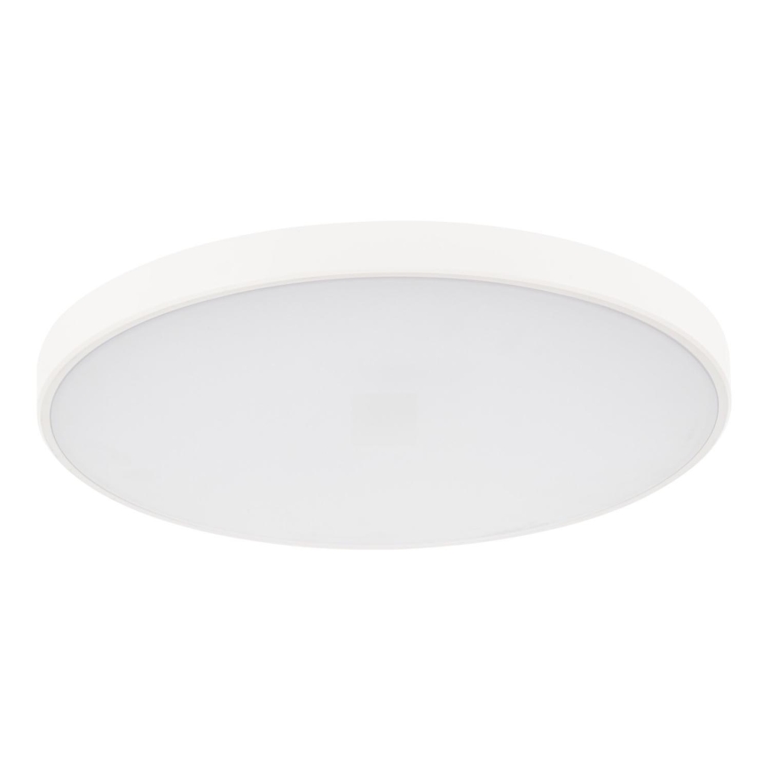 LED Plafon ściemnialny PLAFON LED/20W/230V 3000-6500K Wi-Fi biały