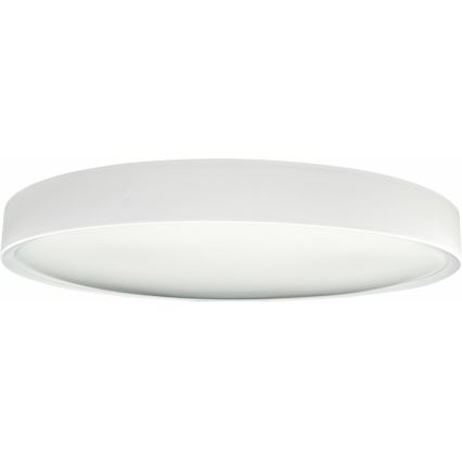 LED Plafon ściemnialny SAMER LED/40W/230V 2900-6000K + Pilot zdalnego sterowania