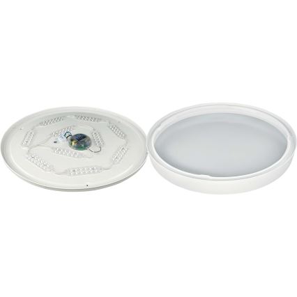 LED Plafon ściemnialny SAMER LED/40W/230V 2900-6000K + Pilot zdalnego sterowania