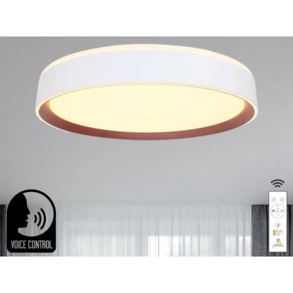 LED Plafon ściemnialny ze sterowaniem głosowym OPAL LED/48W/230V 2700-6500K biały + pilot zdalnego sterowania