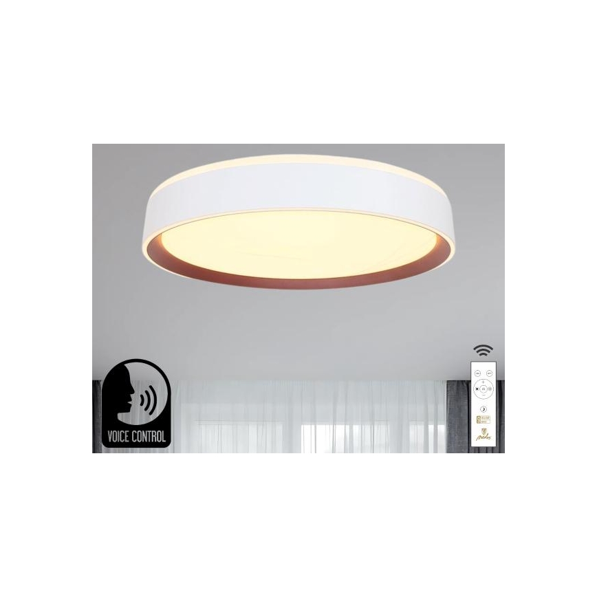 LED Plafon ściemnialny ze sterowaniem głosowym OPAL LED/48W/230V 2700-6500K biały + pilot zdalnego sterowania