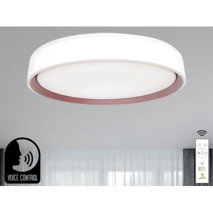 LED Plafon ściemnialny ze sterowaniem głosowym OPAL LED/48W/230V 2700-6500K biały + pilot zdalnego sterowania