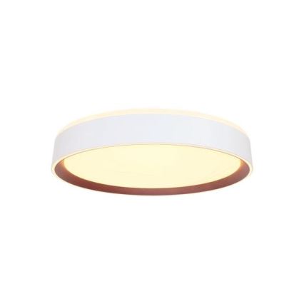 LED Plafon ściemnialny ze sterowaniem głosowym OPAL LED/48W/230V 2700-6500K biały + pilot zdalnego sterowania