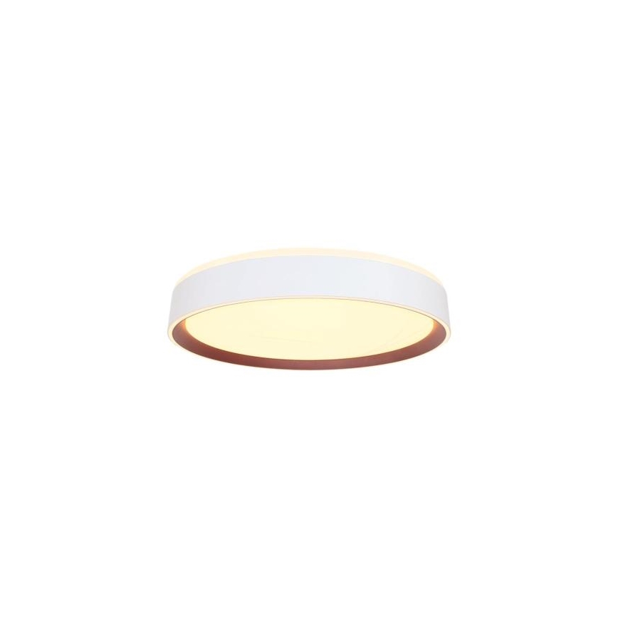 LED Plafon ściemnialny ze sterowaniem głosowym OPAL LED/48W/230V 2700-6500K biały + pilot zdalnego sterowania