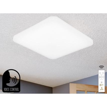 LED Plafon ściemnialny ze sterowaniem głosowym OPAL LED/48W/230V 2700-6500K biały + pilot zdalnego sterowania