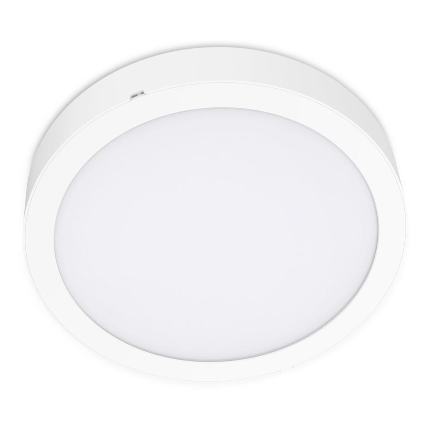 LED Plafon SIGARO CIRCLE LED/24W/230V 4000K IP40