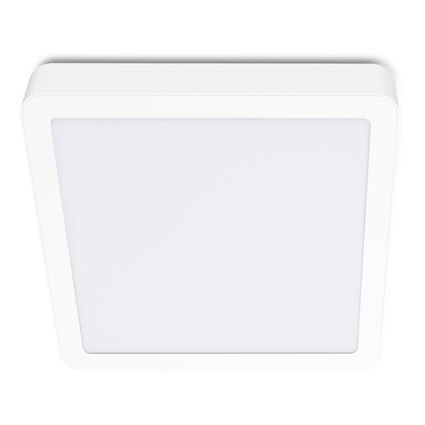 LED Plafon SIGARO SQUARE LED/18W/230V 4000K IP40