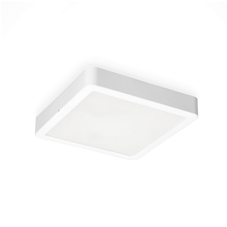 LED Plafon SIGARO SQUARE LED/24W/230V 4000K IP40