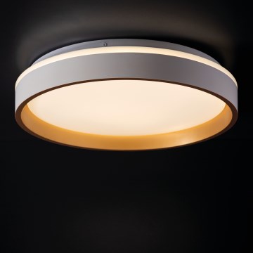 LED Plafon SOLN LED/17,5W/230V śr. 38 cm białe/złote