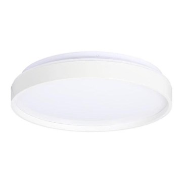 LED Plafon TEXAS LED/15W/230V białe