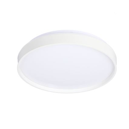 LED Plafon TEXAS LED/15W/230V białe