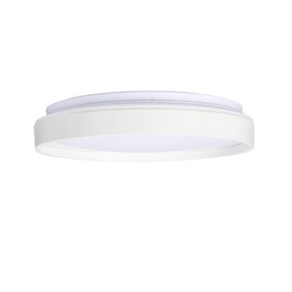 LED Plafon TEXAS LED/15W/230V białe