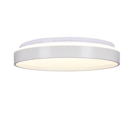 LED Plafon TEXAS LED/15W/230V białe