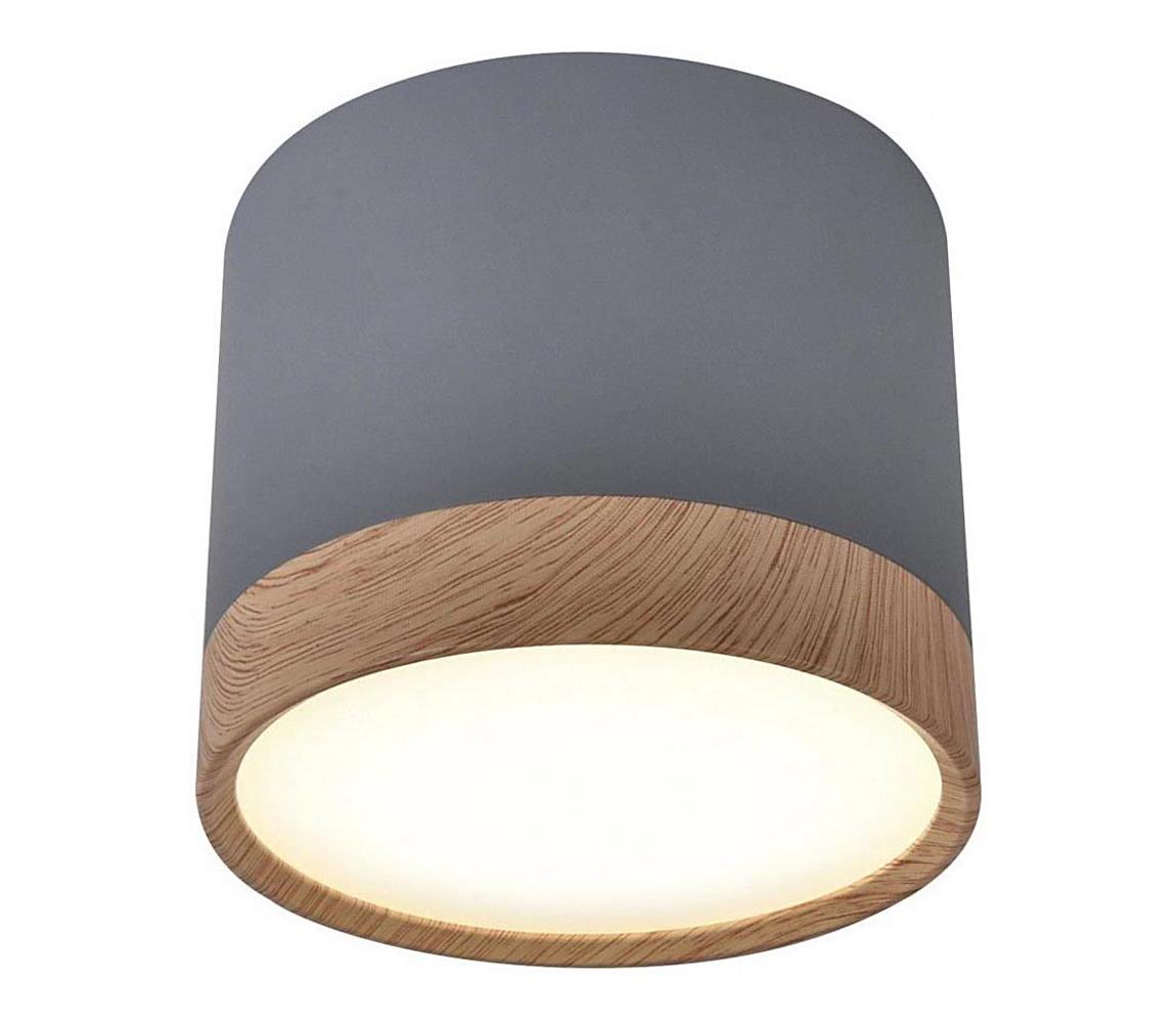 LED Plafon TUBA LED/9W/230V