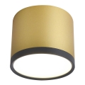 LED Plafon TUBA LED/9W/230V