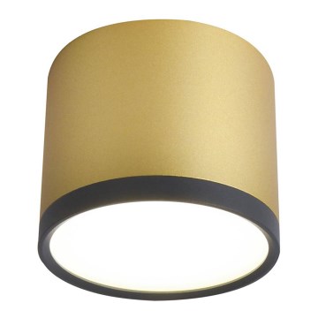 LED Plafon TUBA LED/9W/230V