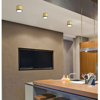LED Plafon TUBA LED/9W/230V