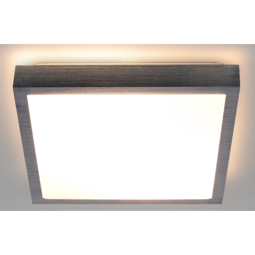 LED Plafon VITAL LED/24W/230V matowy chrom