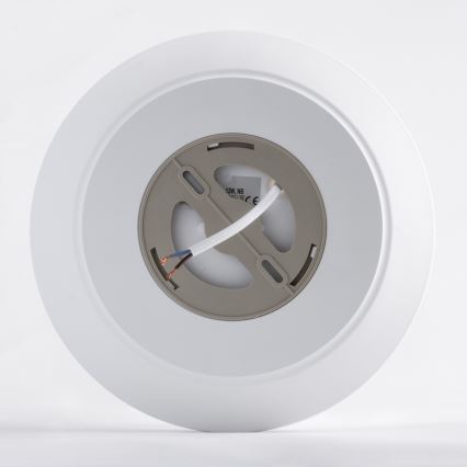 LED Plafon z czujnikiem AVESTA LED/12W/230V 4000K IP54