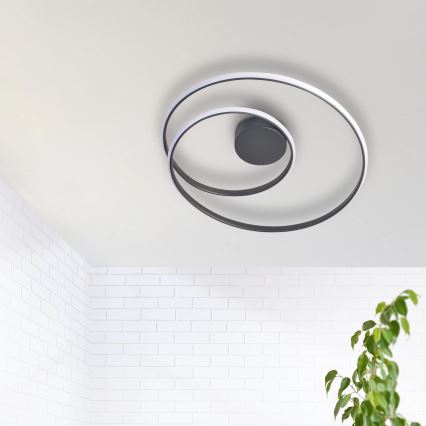 LED Plafon ZEFIRA LED/40W/230V 4000K śr. 50 cm antracyt