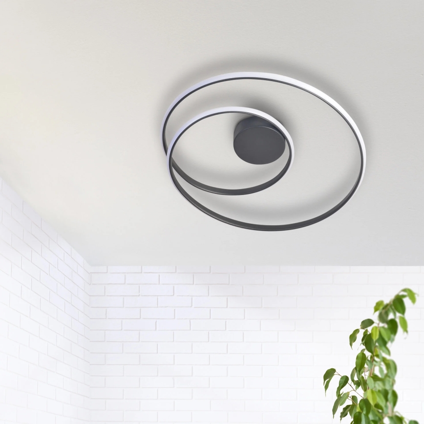 LED Plafon ZEFIRA LED/40W/230V 4000K śr. 50 cm antracyt