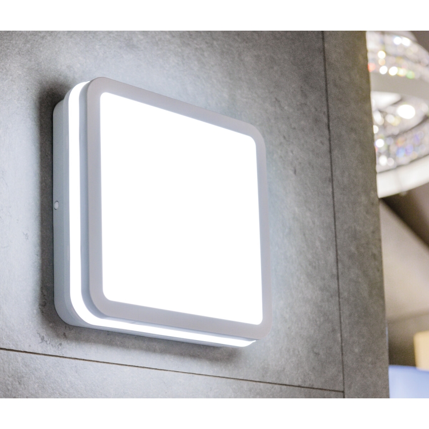 LED Plafon zewnętrzny BENO LED/18W/230V IP54