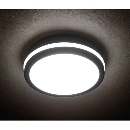 LED Plafon zewnętrzny BENO LED/18W/230V IP54