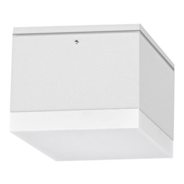 LED Plafon zewnętrzny BRUNO LED/10W/230V IP54