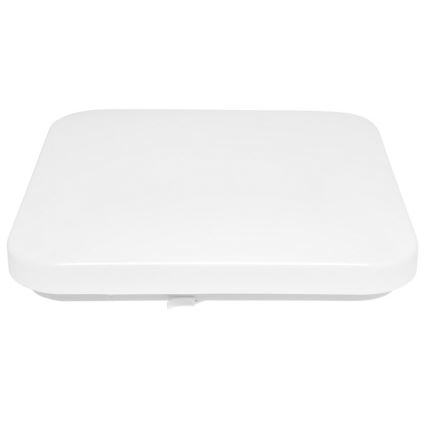 LED Plafon zewnętrzny LUKA LED/42W/230V IP44