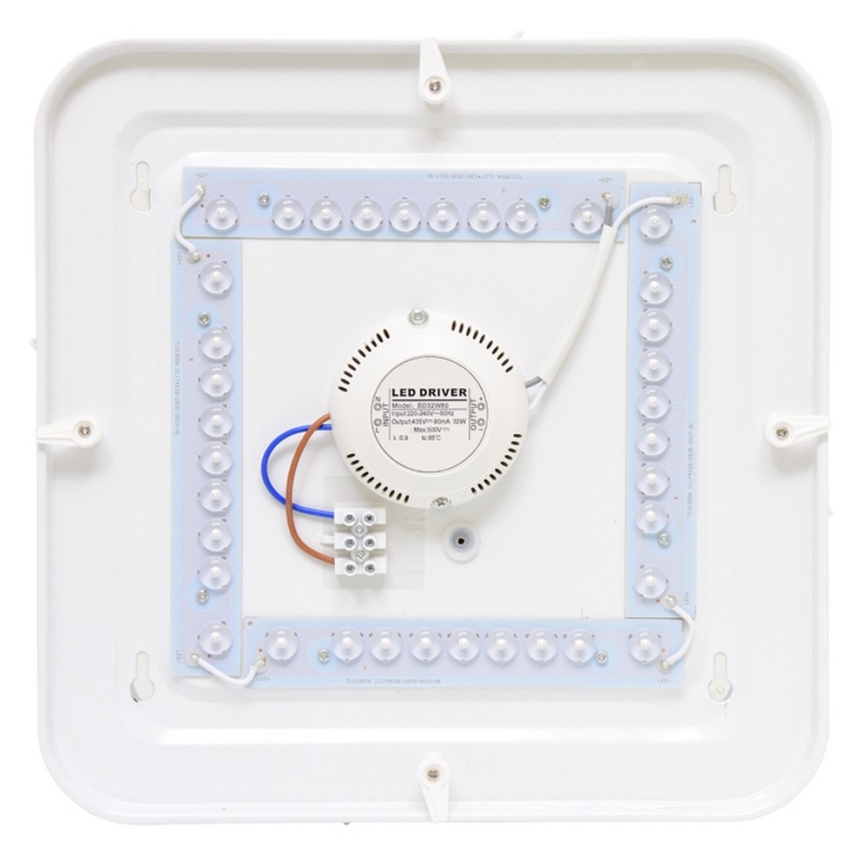 LED Plafon zewnętrzny LUKA LED/42W/230V IP44