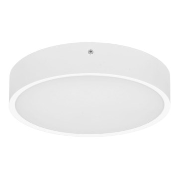 LED Plafon zewnętrzny MARTIN LED/15W/230V 3000/4000K śr. 30 cm IP65 biały