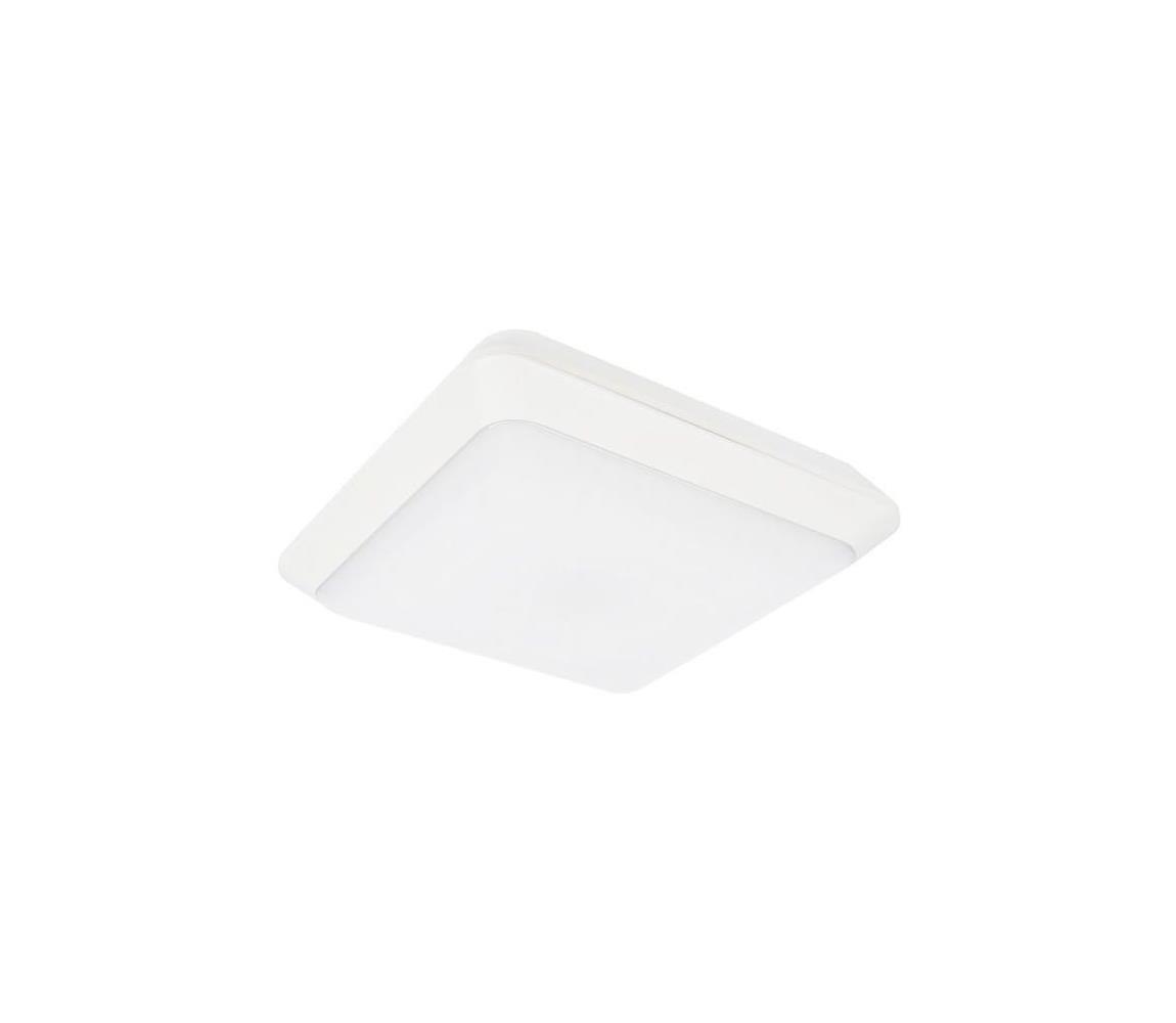LED Plafon zewnętrzny TIPO LED/24W/230V IP66