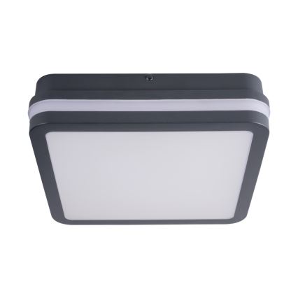 LED Plafon zewnętrzny z czujnikiem BENO LED/18W/230V IP54