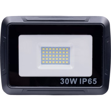 LED Reflektor LED/30W/230V IP65 6000K