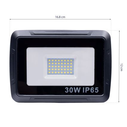 LED Reflektor LED/30W/230V IP65 6000K