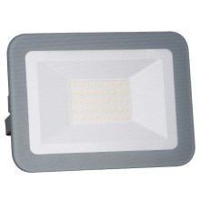 LED Reflektor LED/30W/230V IP65