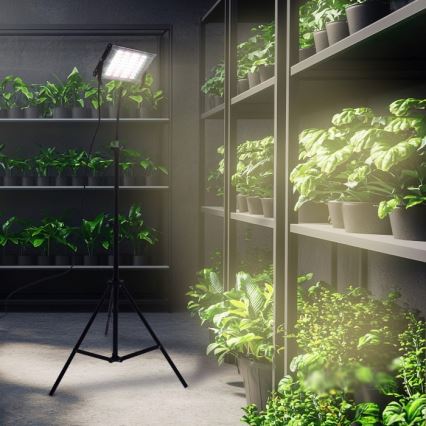 LED Reflektor na stojaku do uprawy roślin FIRON LED/45W/230V IP54 czarny