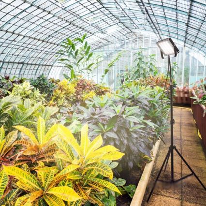 LED Reflektor na stojaku do uprawy roślin FIRON LED/45W/230V IP54 czarny