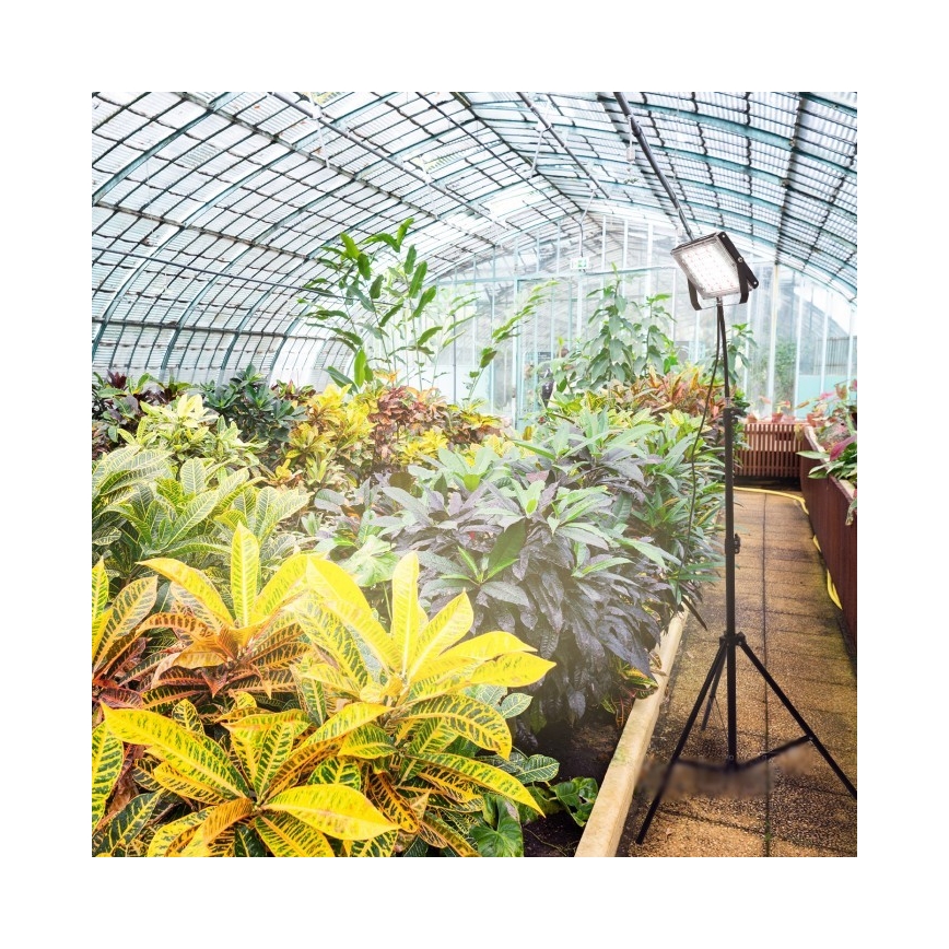 LED Reflektor na stojaku do uprawy roślin FIRON LED/45W/230V IP54 czarny