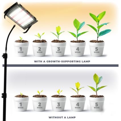 LED Reflektor na stojaku do uprawy roślin FIRON LED/45W/230V IP54 czarny