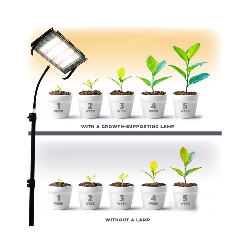 LED Reflektor na stojaku do uprawy roślin FIRON LED/45W/230V IP54 czarny