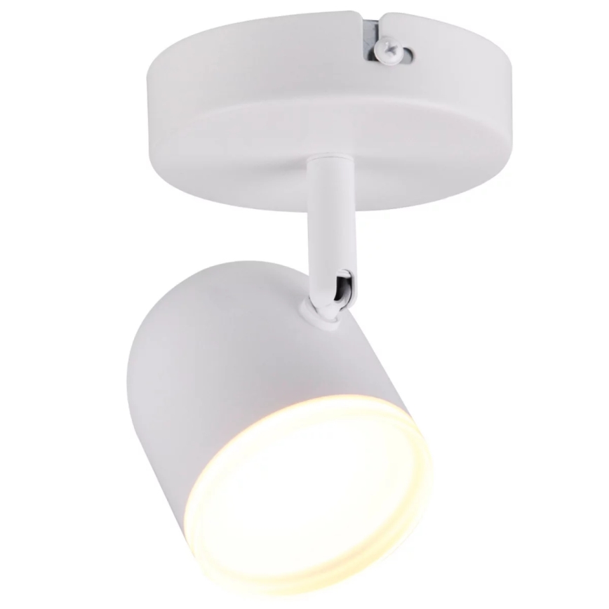 LED Reflektor ścienny RAWI LED/4,2W/230V biały