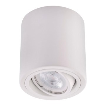 LED Reflektor TUBA 1xGU10/5W/230V 4000K biały