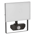 LED Reflektor z czujnikiem TAMBO LED/30W/230V 4000K IP54