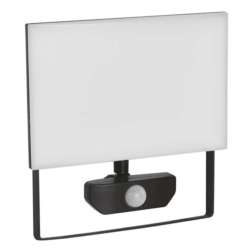 LED Reflektor z czujnikiem TAMBO LED/50W/230V 4000K IP54