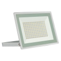 LED Reflektor zewnętrzny NOCTIS LUX 3 LED/100W/230V 4000K IP65 biały
